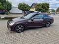 Mercedes-Benz E 250 CDI DPF BlueEFFICIENCY Automatik Avantgarde Brun - thumbnail 6
