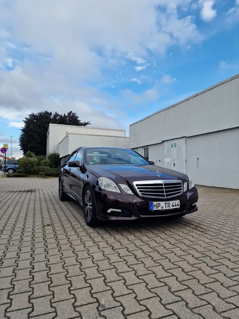 Mercedes-Benz E 250 CDI DPF BlueEFFICIENCY Automatik Avantgarde Brun - 2