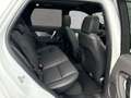 Land Rover Discovery Sport Land Rover Discovery Sport D200 AWD DYNAMIC SE W Weiß - thumbnail 5