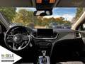 Kia Ceed SW / cee'd SW Ceed SW 1.5 T-GDI Vision+Navi+Klima+SHZ+Regens. Weiß - thumbnail 9