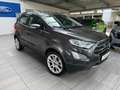 Ford EcoSport EcoSport 1.0 EcoBoost Titanium Start/Stopp (EURO 6 Gri - thumbnail 2