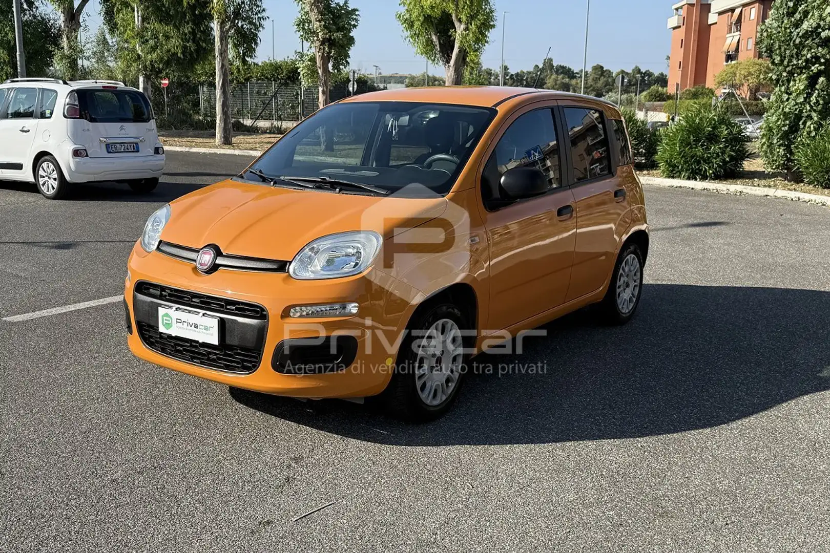 Fiat Panda Panda 1.2 Easy Orange - 1