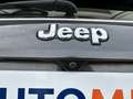 Jeep Compass 1.6 Mjt Business 2wd 120cv Grigio - thumbnail 9