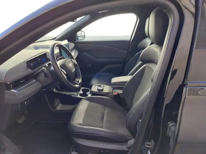 Ford Mustang Mach-E 2023, foto 18