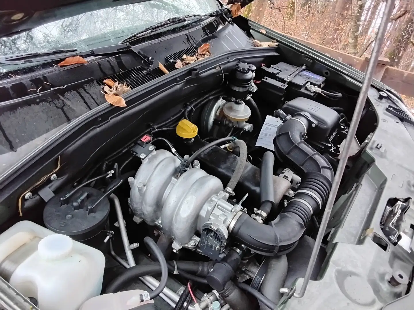 Lada Niva Niva 1.7i Grün - 2