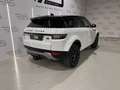Land Rover Range Rover Evoque 2.0eD4 Pure 2WD 150 Blanc - thumbnail 2