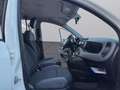 Fiat Panda 1.0 GSE N1 HYBRID  VAN 2 POSTI OTTIME CONDIZIONI- Weiß - thumbnail 20