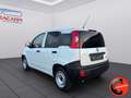 Fiat Panda 1.0 GSE N1 HYBRID  VAN 2 POSTI OTTIME CONDIZIONI- Weiß - thumbnail 6