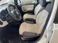 Fiat Panda 1.4 natural power Classic - thumbnail 7