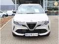 Alfa Romeo Junior Ibrida Speciale 1.2 VGT Beige - thumbnail 8