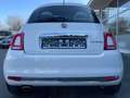 Fiat 500 DOLCEVITA/LICHT/REGEN/CARPLAY/PANO/LED Weiß - thumbnail 11