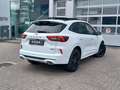 Ford Kuga 2.5i PHEV Aut. 178kW ST-Line X STOCK - NIEUW Wit - thumbnail 5