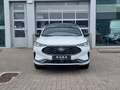 Ford Kuga 2.5i PHEV Aut. 178kW ST-Line X STOCK - NIEUW Wit - thumbnail 2