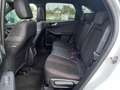 Ford Kuga 2.5i PHEV Aut. 178kW ST-Line X STOCK - NIEUW Wit - thumbnail 13