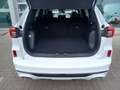 Ford Kuga 2.5i PHEV Aut. 178kW ST-Line X STOCK - NIEUW Wit - thumbnail 8