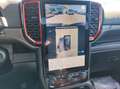 Ford Ranger Raptor 3.0l Eco V6 *Raptor Paket/Rollo* Grau - thumbnail 16