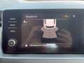 Skoda Kamiq SC TSI DSG Grau - thumbnail 13