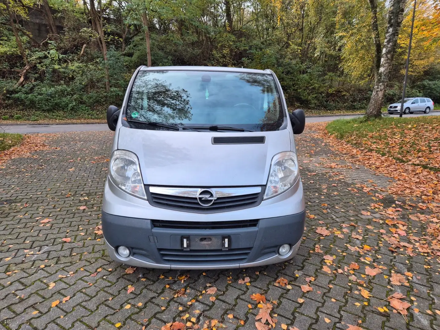 Opel Vivaro Kasten/Kombi Kombi L1H1 2,7t Silber - 1