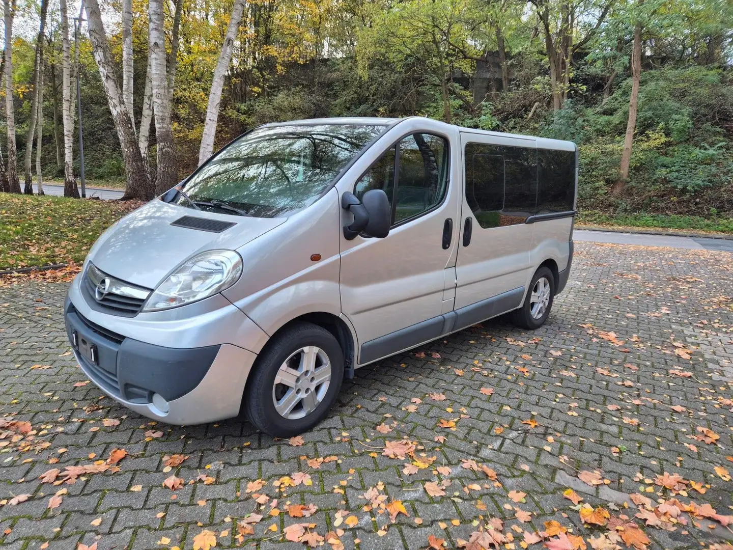 Opel Vivaro Kasten/Kombi Kombi L1H1 2,7t Silber - 2