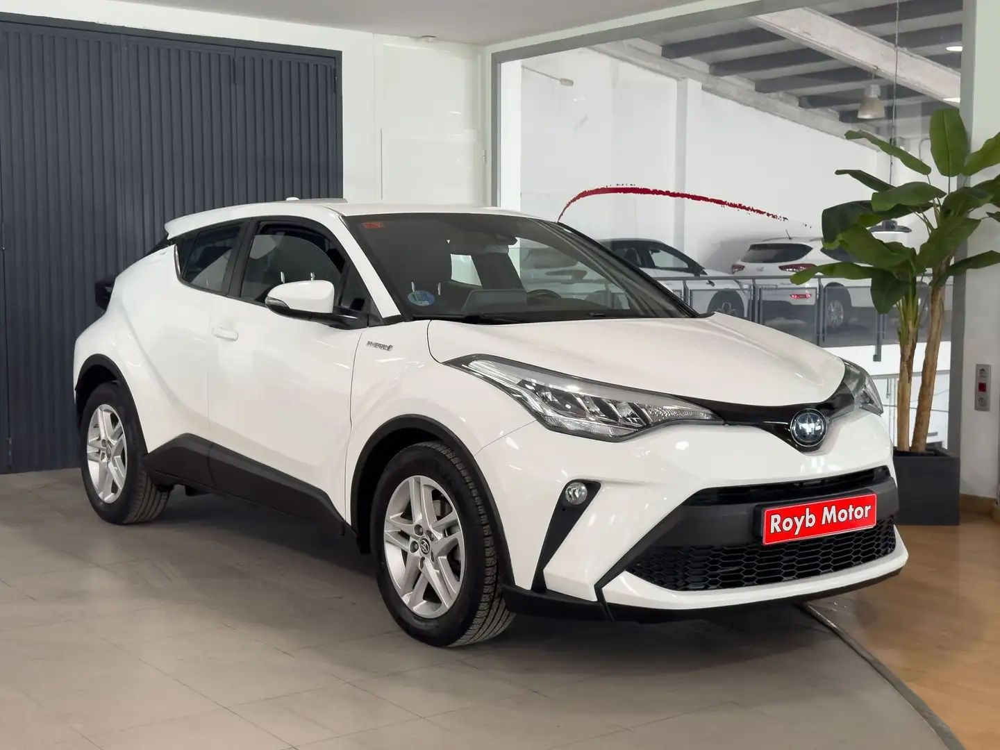 Toyota C-HR 1.8 125H Active Blanco - 1