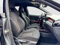 Skoda Fabia Monte Carlo*LED*SPORT*SMARTLINK Grau - thumbnail 14