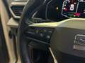 SEAT Leon FR 1.4cc 150CV e-hybrid  DSG *IVA* Bianco - thumbnail 15