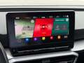 SEAT Leon FR 1.4cc 150CV e-hybrid  DSG Blanco - thumbnail 12