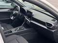 SEAT Leon FR 1.4cc 150CV e-hybrid  DSG Blanco - thumbnail 15