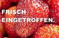 Audi Q7 3.0TDI quattro/S-Line/ACC/7Sitze/Virtual/Ahk Grau - thumbnail 1
