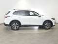 Volkswagen Tiguan Friends eTSI DSG Weiß - thumbnail 6