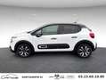 Citroen C3 PureTech 83 S&S BVM5 Shine Blanc - thumbnail 7
