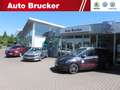 Volkswagen Golf VIII Life 2.0 TDI, LED, Sitzh., ACC, ALS, PDC Bianco - thumbnail 20