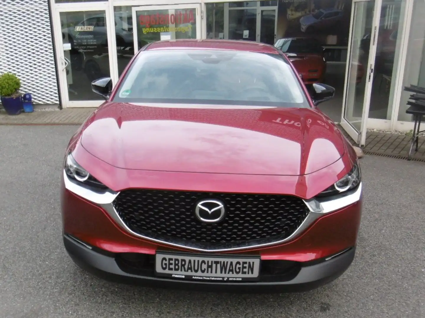 Mazda CX-30 Homura SR WR 360° Bose LED Navi AHZV Heat up Rot - 2