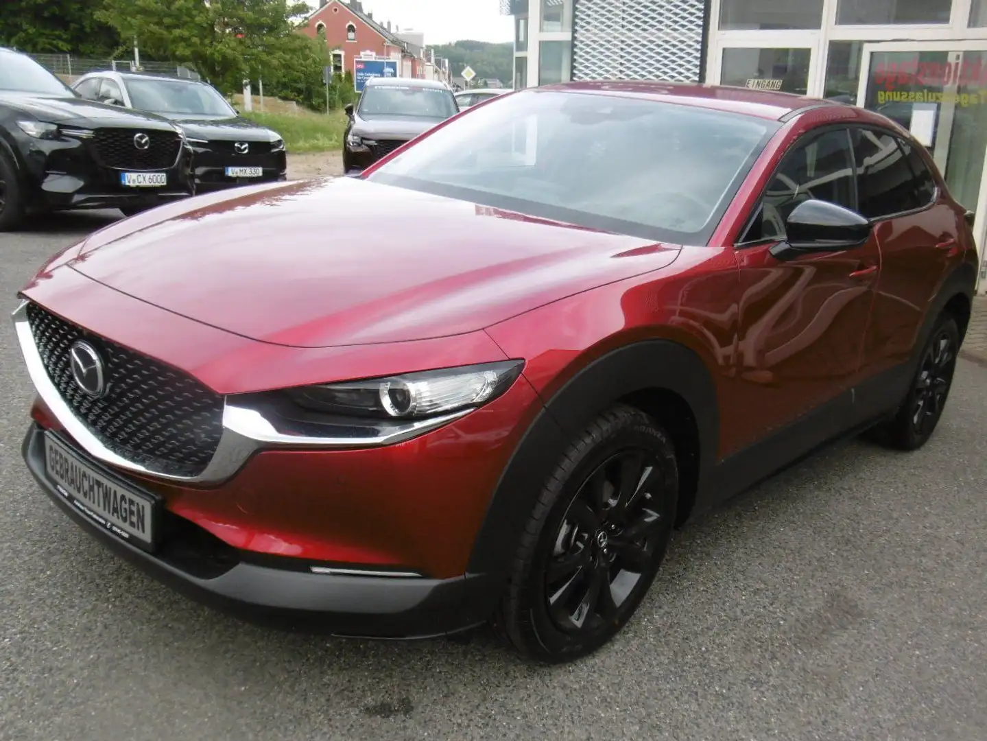Mazda CX-30 Homura SR WR 360° Bose LED Navi AHZV Heat up Rot - 1