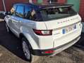 Land Rover Range Rover Evoque Range Rover Evoque I 2016 5p 2.0 td4 Pure 150cv Blanc - thumbnail 4
