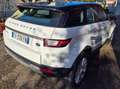 Land Rover Range Rover Evoque Range Rover Evoque I 2016 5p 2.0 td4 Pure 150cv Blanc - thumbnail 8
