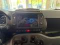 Fiat Panda Panda III 2021 Cross 1.0 firefly hybrid Cross s Verde - thumbnail 12