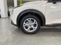 Nissan Juke 1.0 DIG-T N-Connecta 4x2 114 Blanco - thumbnail 37