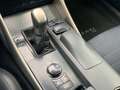 Lexus IS 300 IS 300h 2.5 Luxury cvt Stříbrná - thumbnail 11