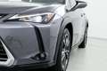 Lexus UX 250h Premium 4WD Gris - thumbnail 10