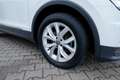 Volkswagen Tiguan 1,5TSI DSG Highline LED/AppC/Ele.Heck/ACC Blanco - thumbnail 19