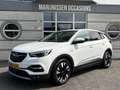 Opel Grandland X 1.2 Turbo Business Executive |Carplay,Stoel&Stuurv Wit - thumbnail 24