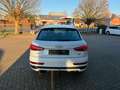 Audi Q3 sport *NAVI*TOP*SERVICE NEU Weiß - thumbnail 5