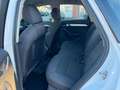 Audi Q3 sport *NAVI*TOP*SERVICE NEU Weiß - thumbnail 15