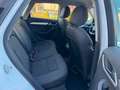 Audi Q3 sport *NAVI*TOP*SERVICE NEU Weiß - thumbnail 14
