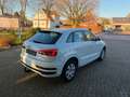 Audi Q3 sport *NAVI*TOP*SERVICE NEU Weiß - thumbnail 6