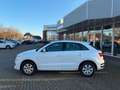 Audi Q3 sport *NAVI*TOP*SERVICE NEU Weiß - thumbnail 3