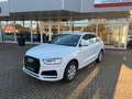 Audi Q3 sport *NAVI*TOP*SERVICE NEU Weiß - thumbnail 2