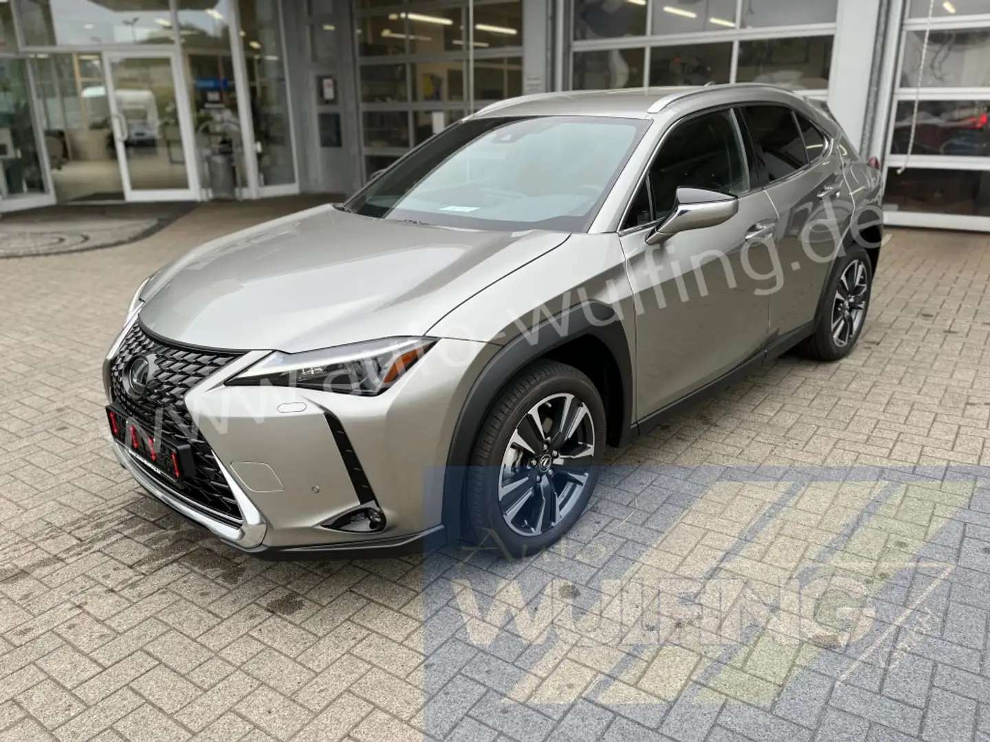 Lexus 250h HYBRID Autom. Premium Plus Leder ACC Gri - 1