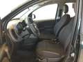 Fiat Panda 1.0 FireFly S&S Hybrid CROSS NO STK Verde - thumbnail 12